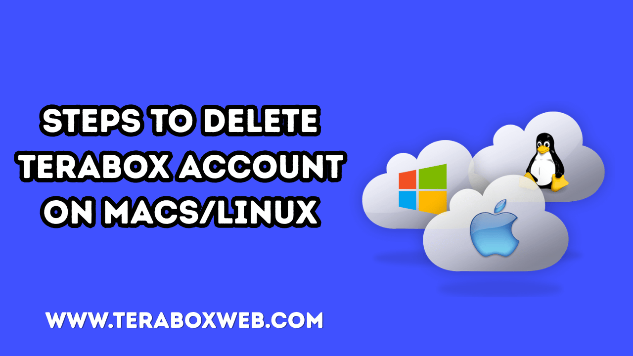 Steps to Delete TeraBox Account on Macs/Linux