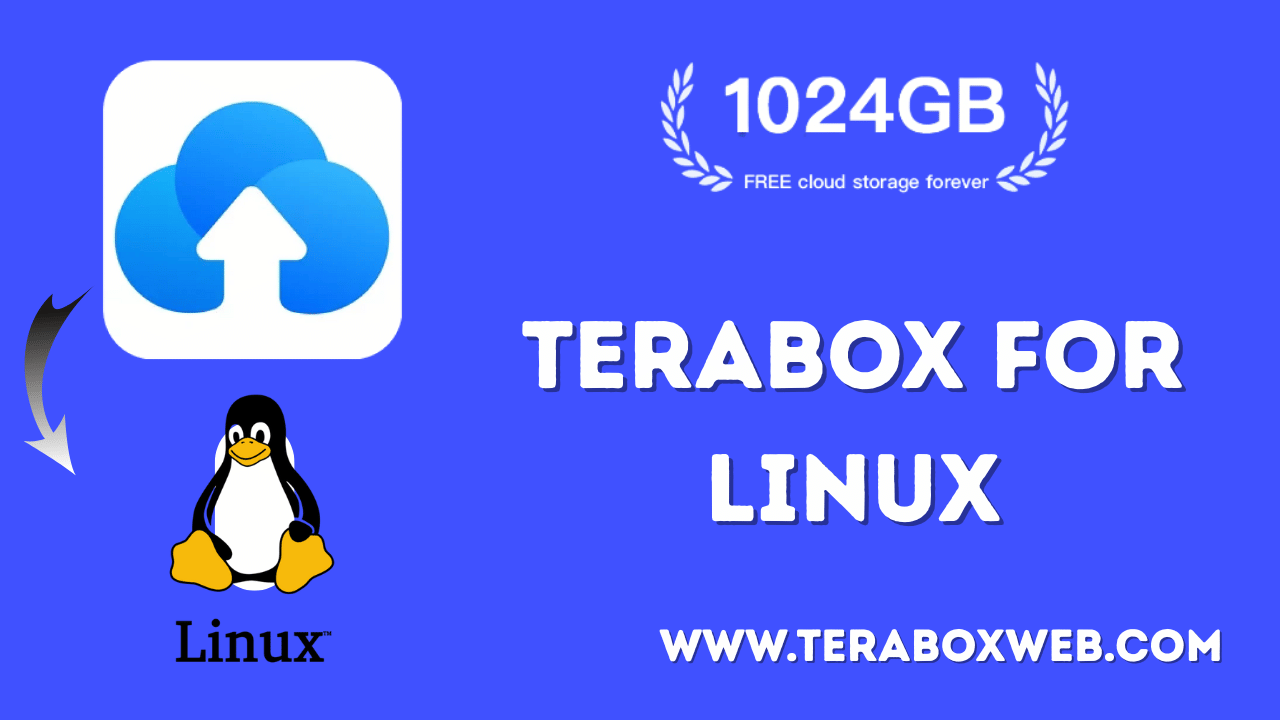 Terabox for Linux
